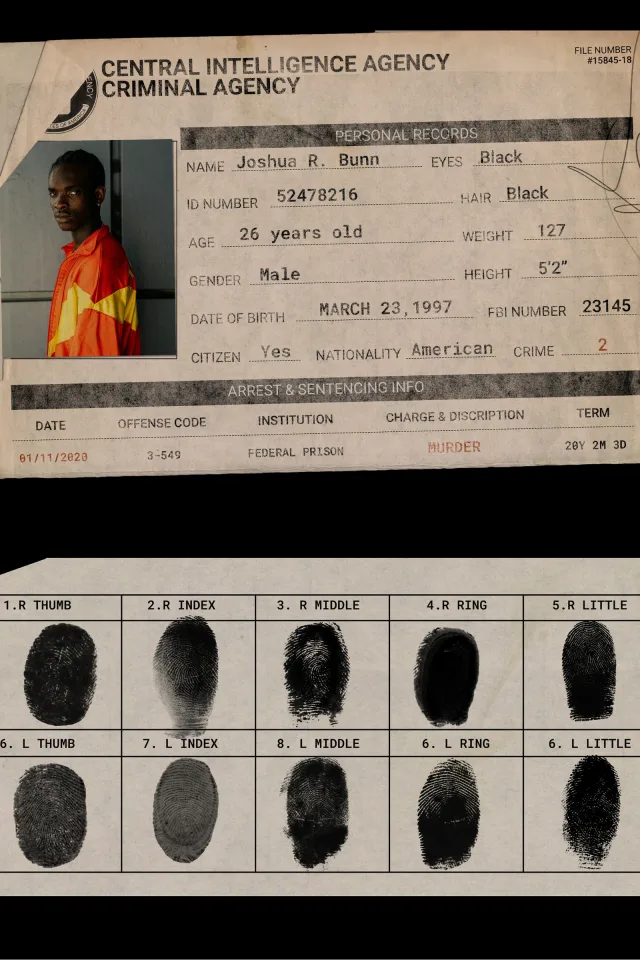 Arrest Wanted prison file template &mdash; preview 3