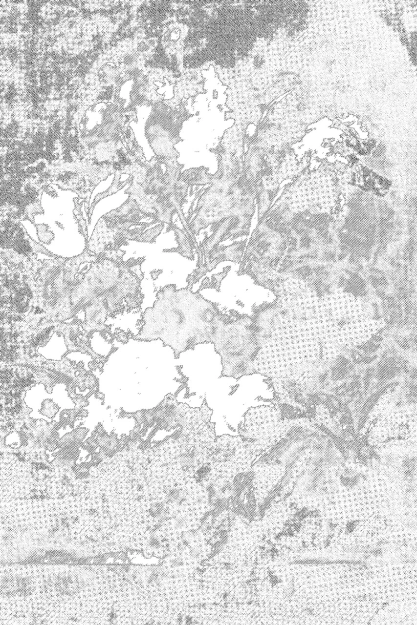8 Floral pattern texture background &mdash; preview 7