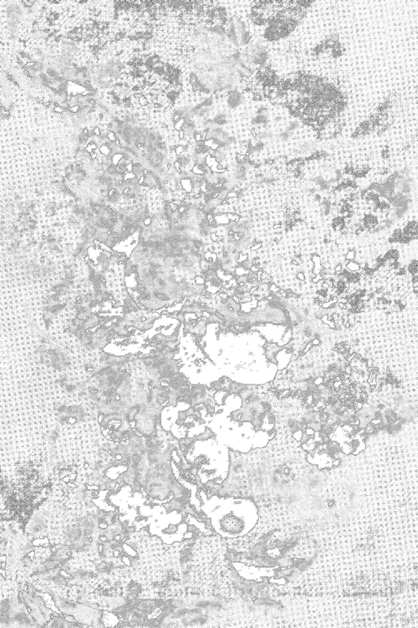 8 Floral pattern texture background &mdash; preview 4