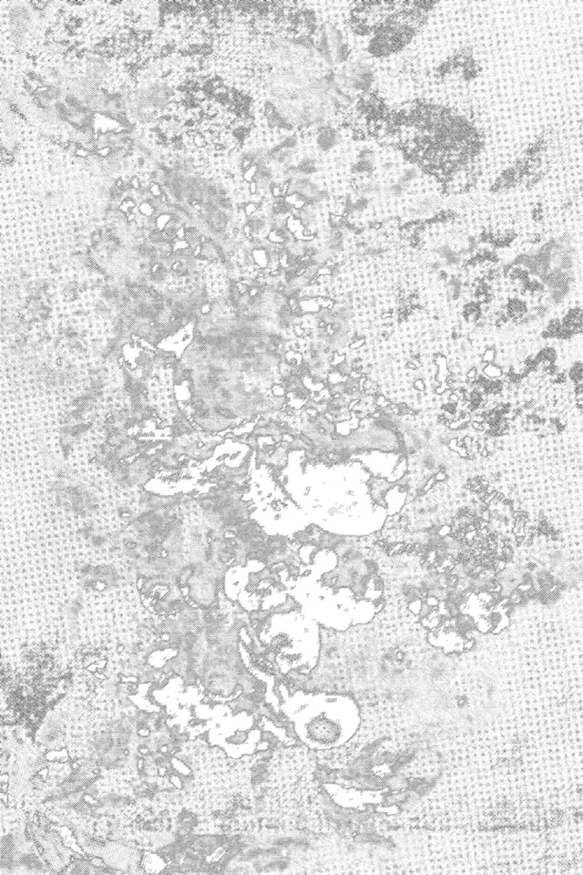 8 Floral pattern texture background &mdash; preview 4