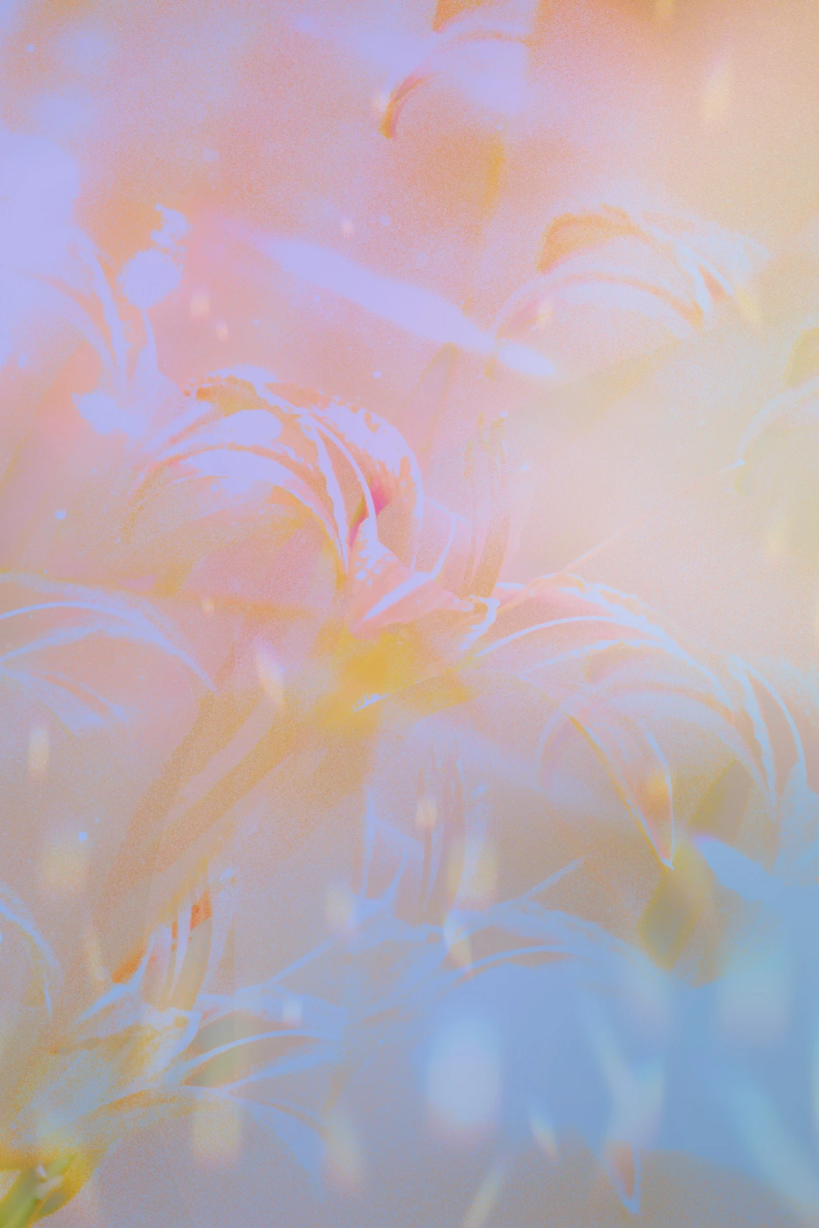 Dreamy Colorful Prism Reflects Leaks light