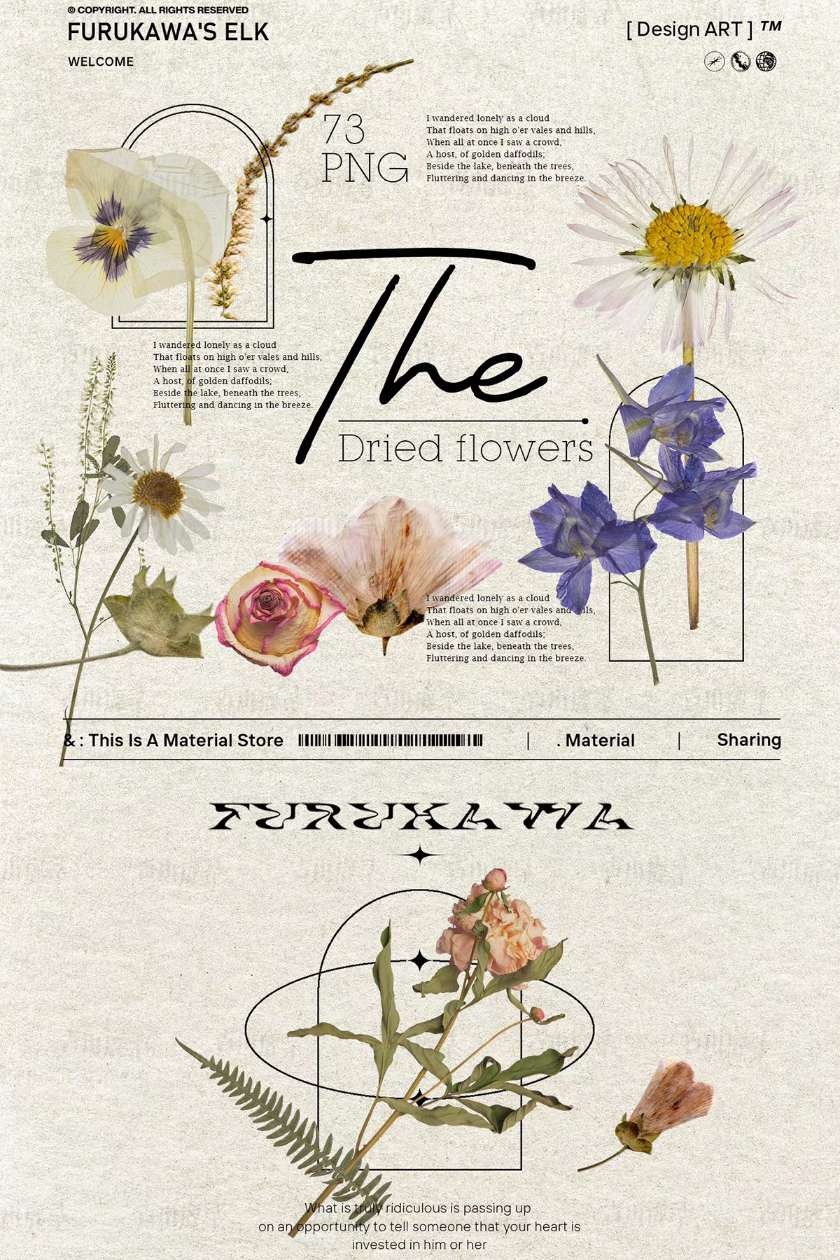 95 dried flower specimens png