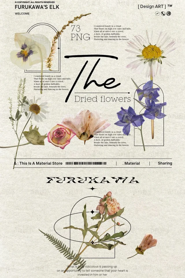 95 dried flower specimens png