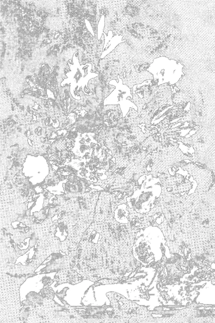 8 Floral pattern texture background &mdash; preview 3