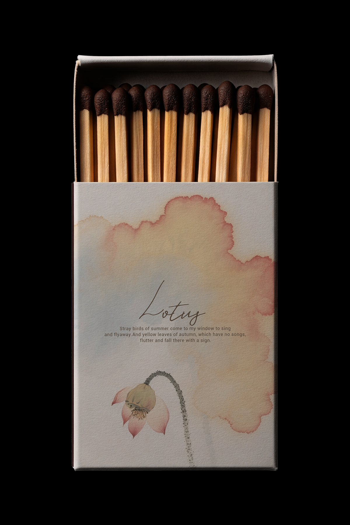 32 premium luxury brand display &mdash; preview 5