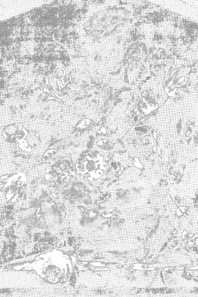 8 Floral pattern texture background &mdash; preview 2