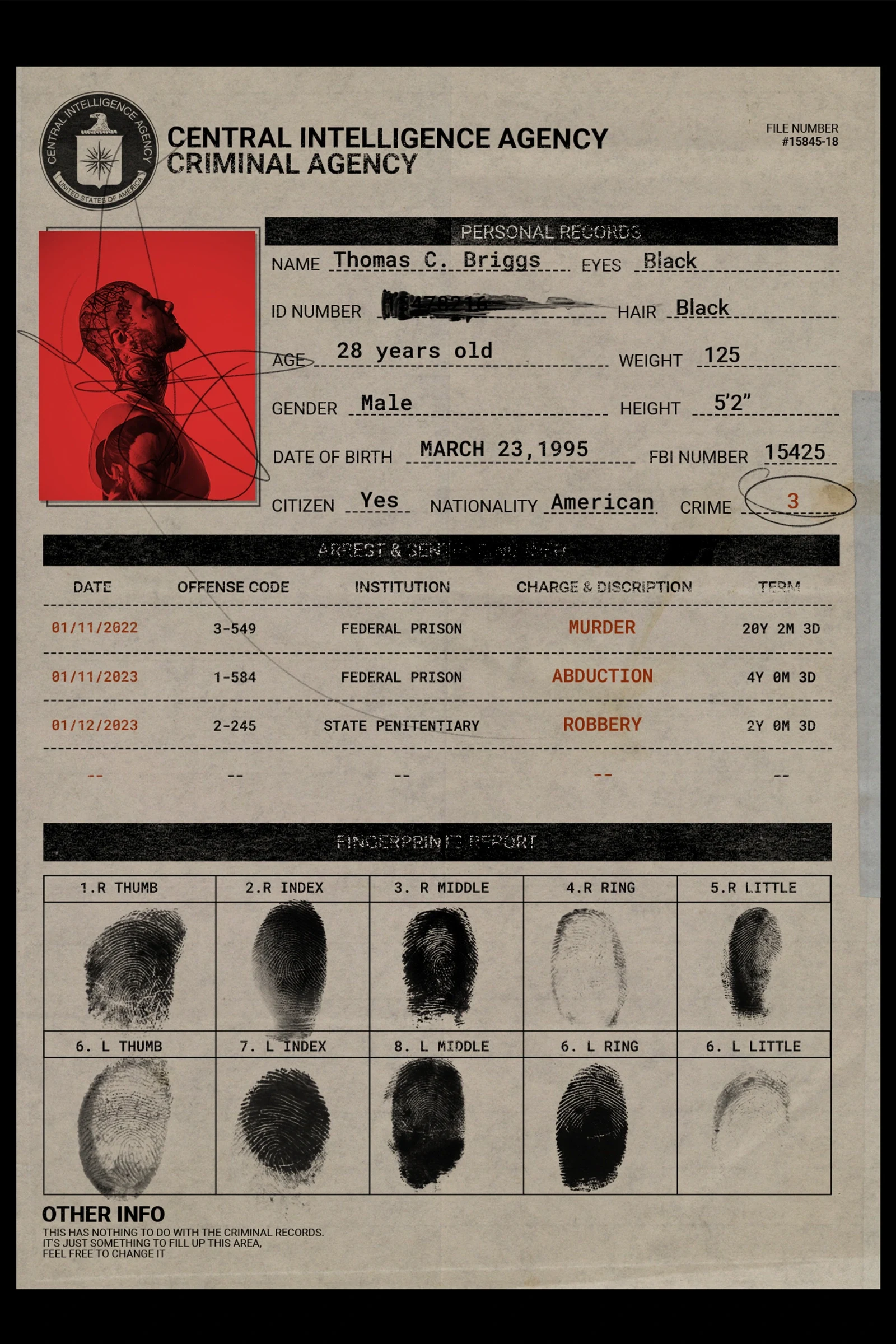 Arrest Wanted prison file template