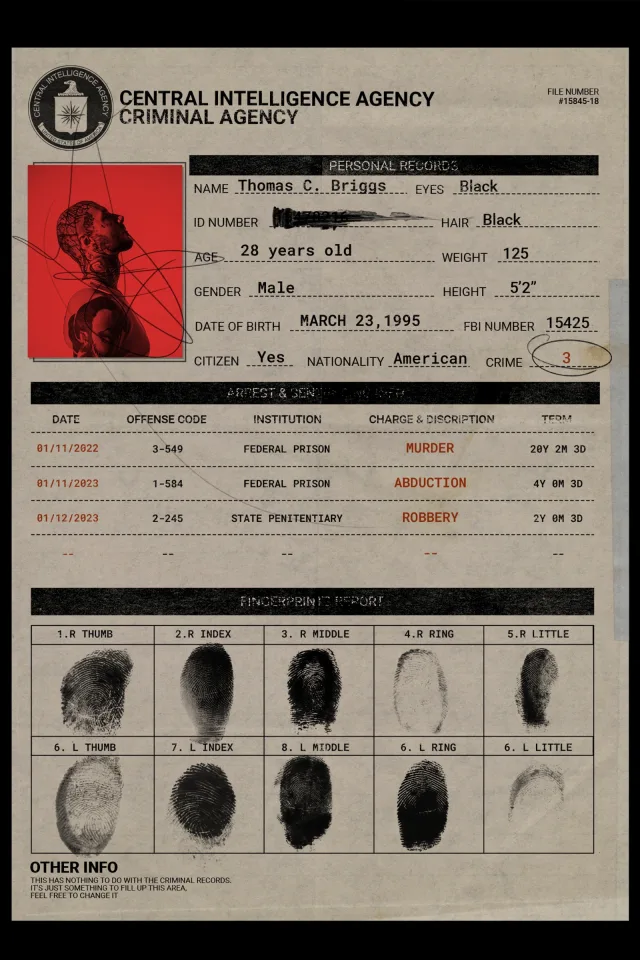 Arrest Wanted prison file template