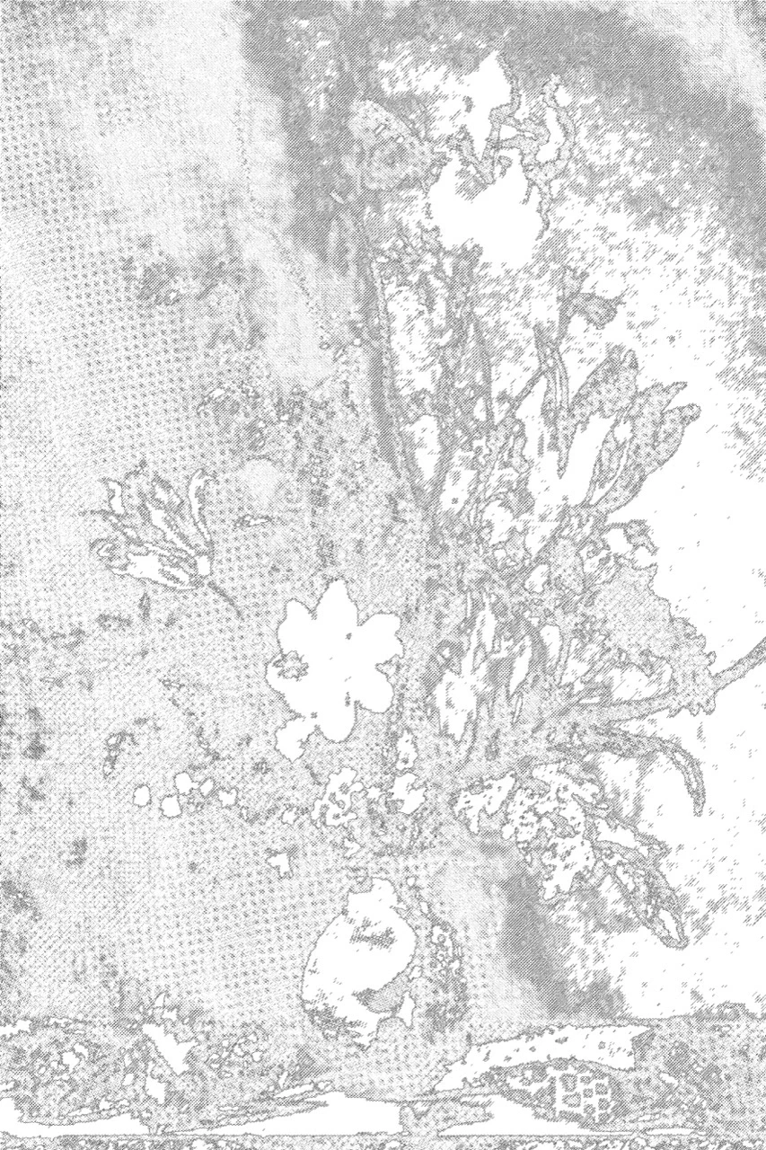 8 Floral pattern texture background &mdash; preview 5